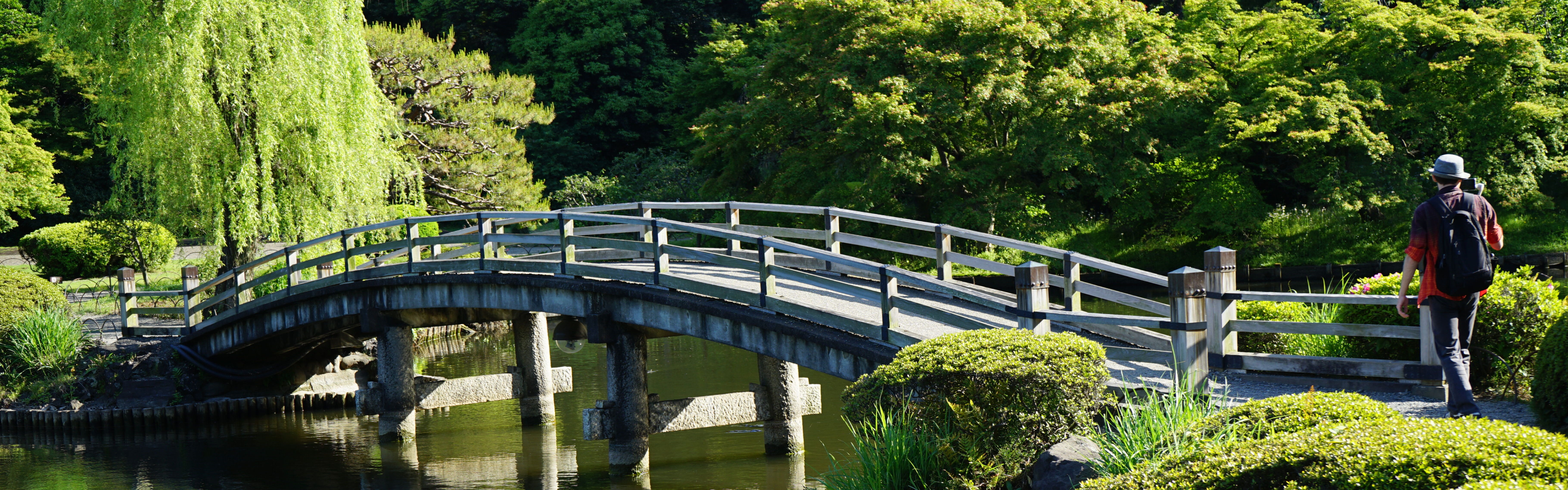 Shinjuku Park bridge